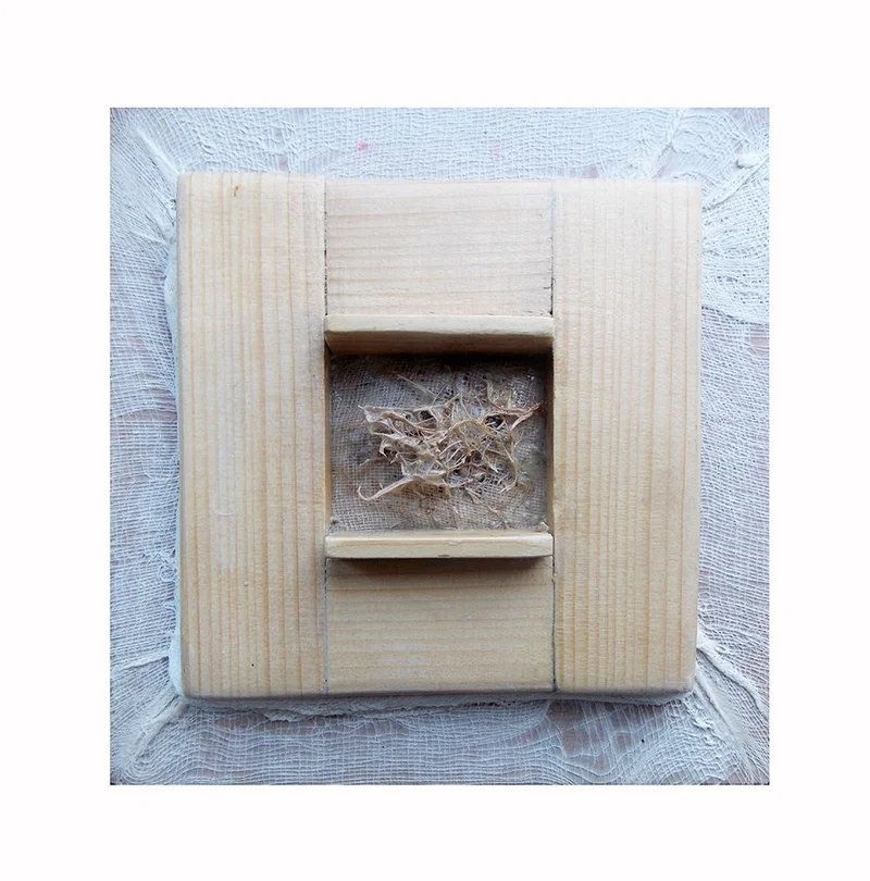 “GAIA CIKLUSAI”  sorozatból 2.